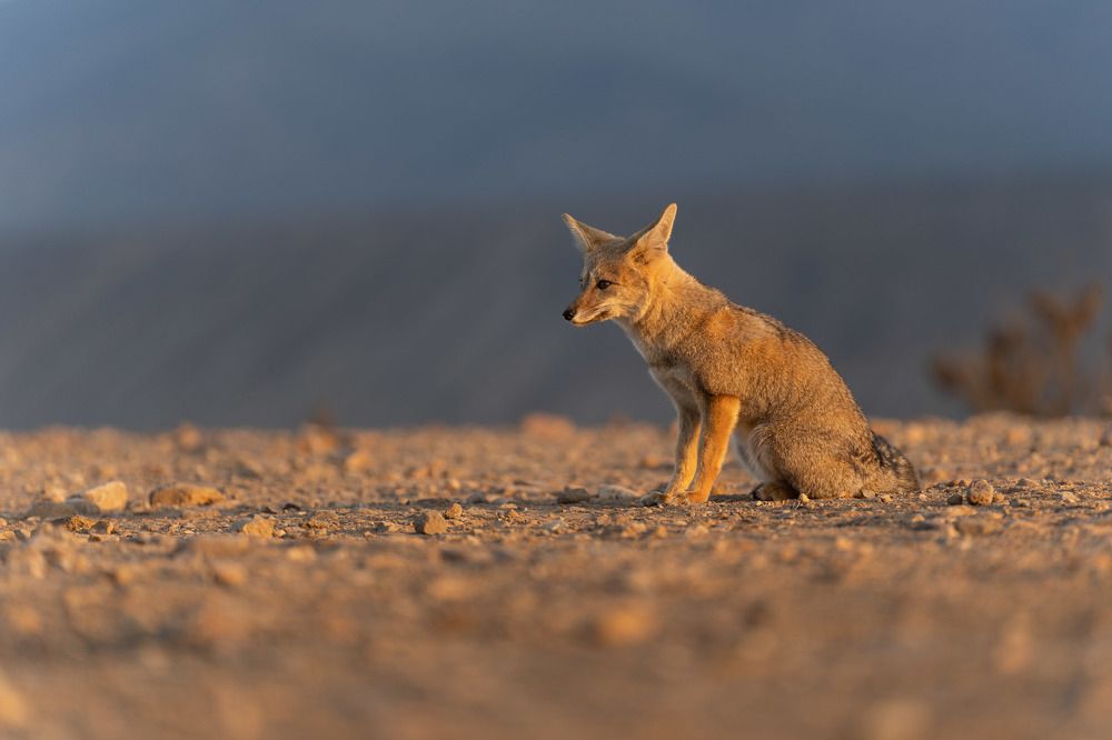 Photograph by Cifuentes Alejandro