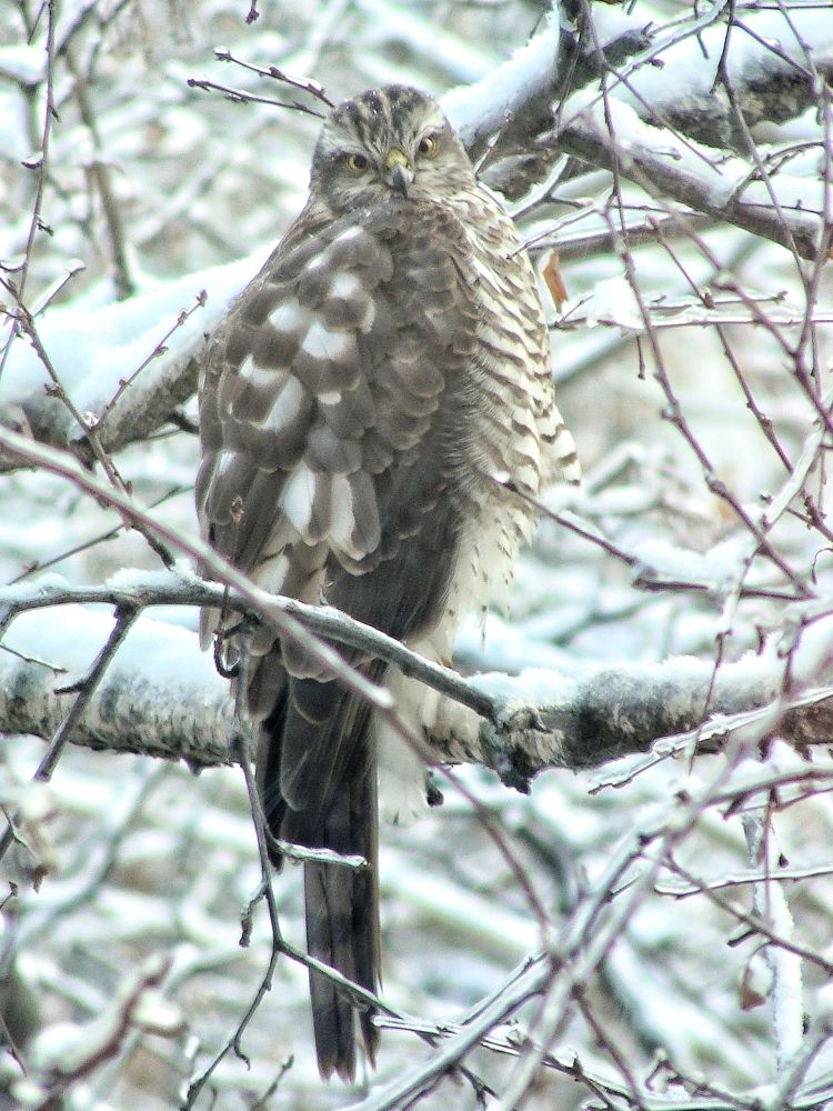 Photograph by Евгения Алексеева