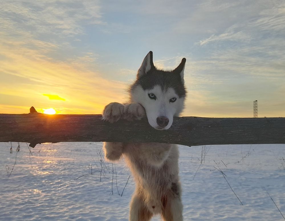 Фотография автора Мария Яропольская