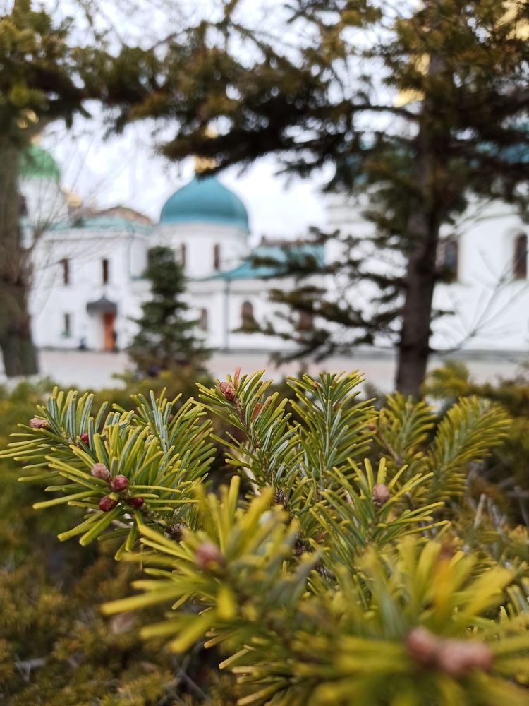 Photograph by Валерий Нестеров
