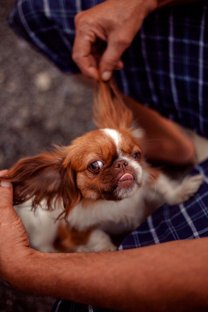 Photograph by Nina Zaytseva