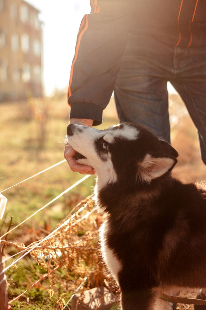 Photograph by Nina Zaytseva