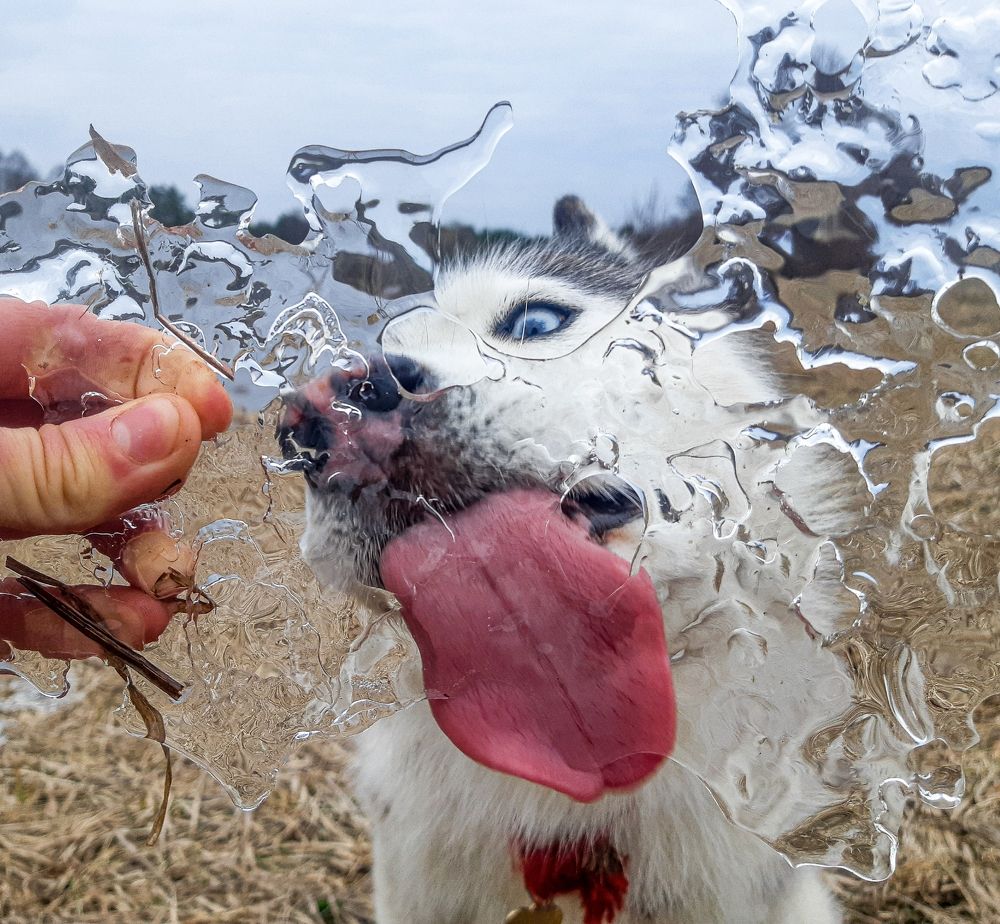 Фотография автора Мария Яропольская