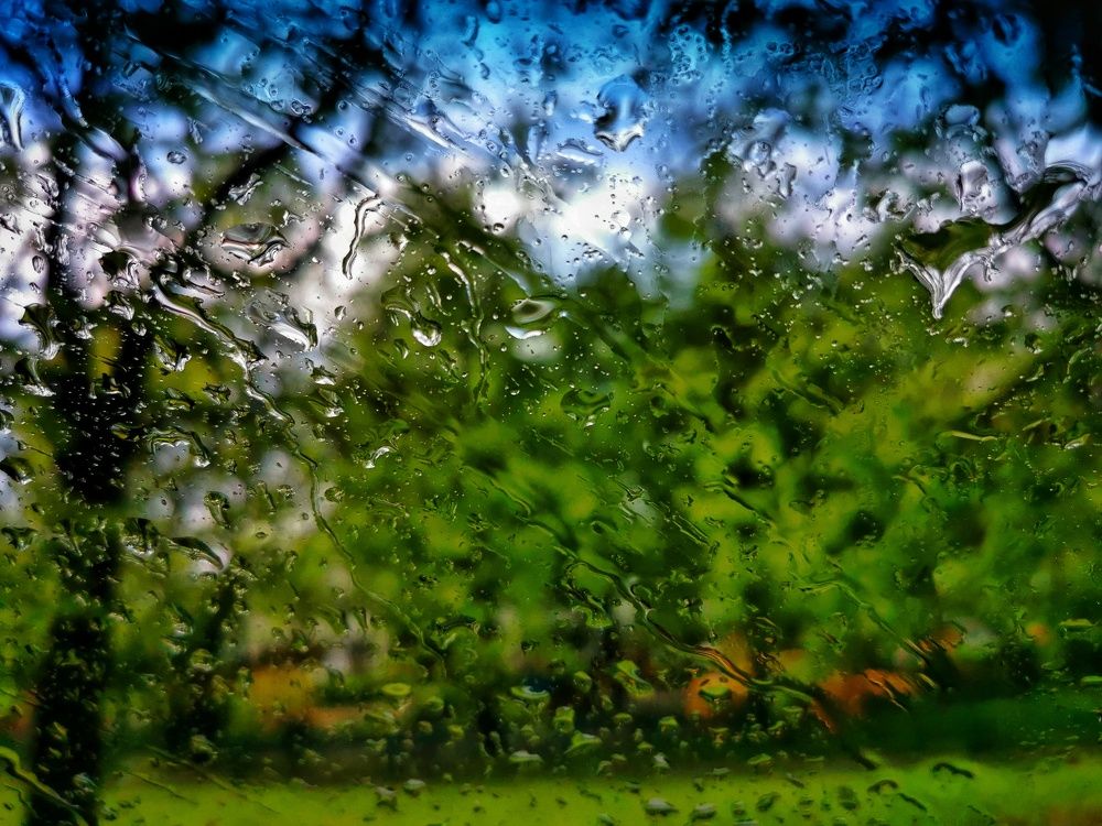 Photograph by Мария Колоскова