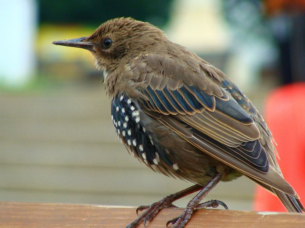 Photograph by Евгения Алексеева