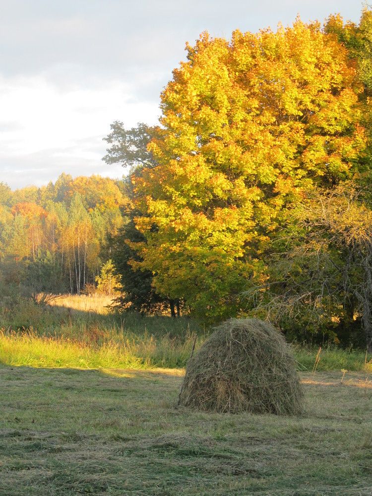 Photograph by сергей павлов