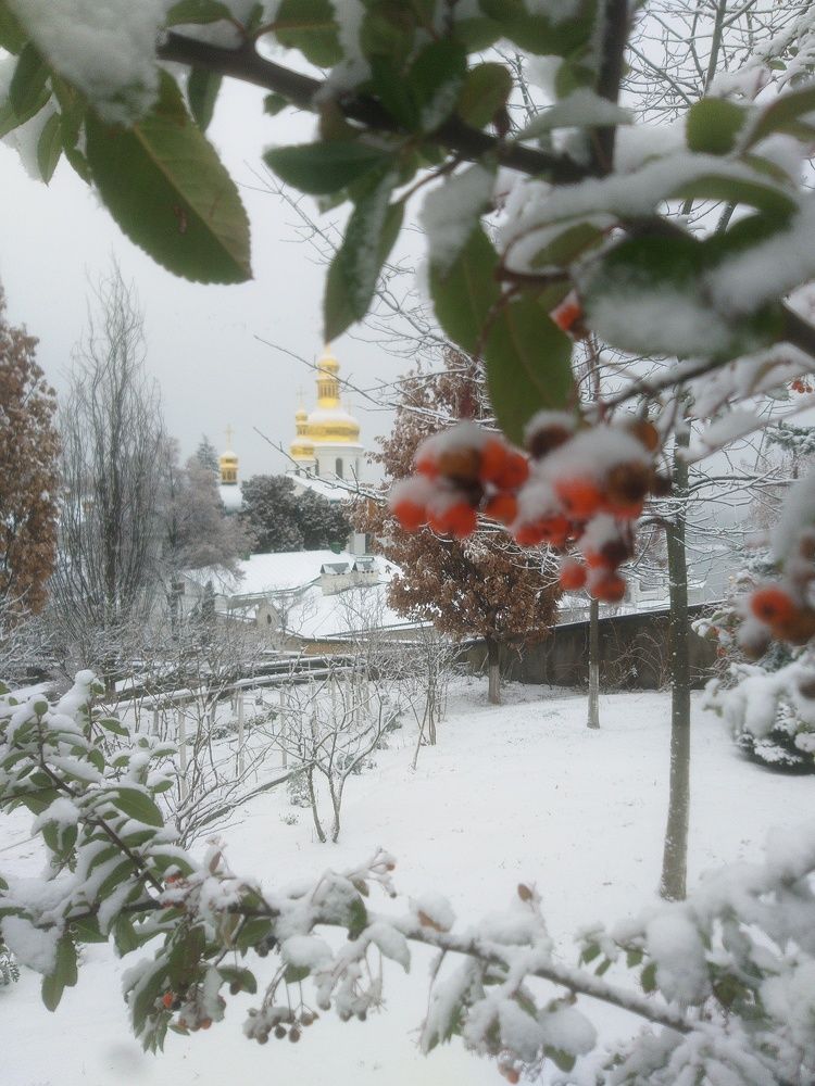 Photograph by Валерий Нестеров