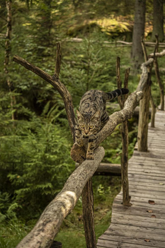 Photograph by Юлия Куликова