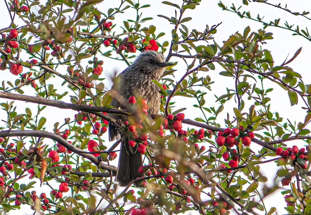 Photograph by Myunggyu Bae