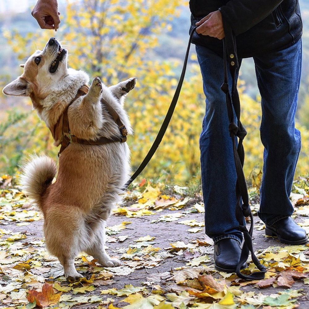 Photograph by Светлана Поляничева
