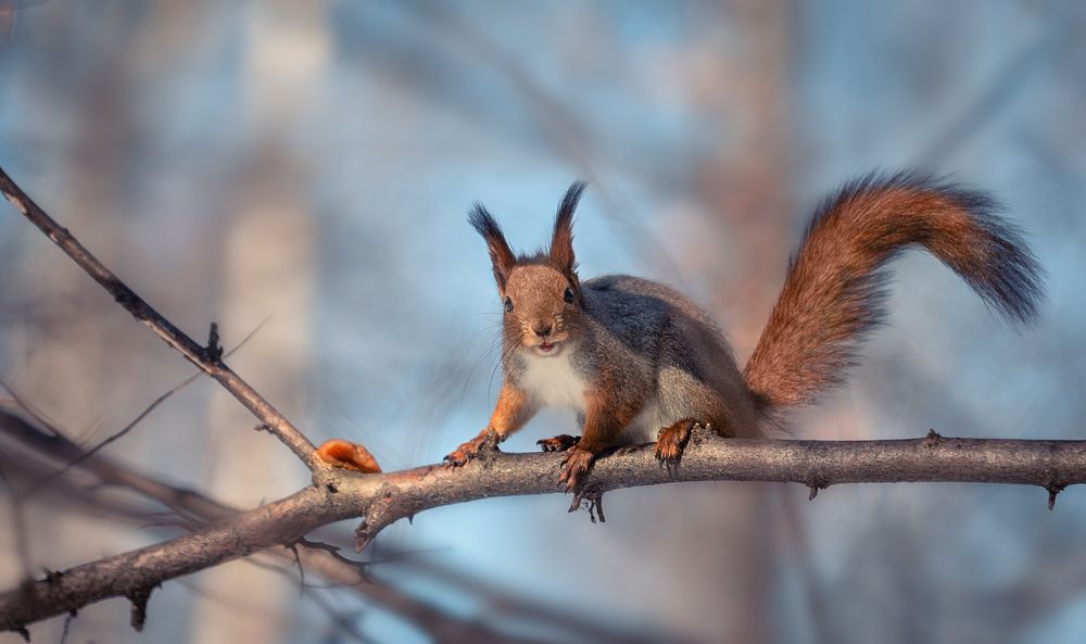 Photograph by Сергей Здерев