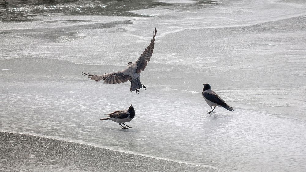 Photograph by Александр