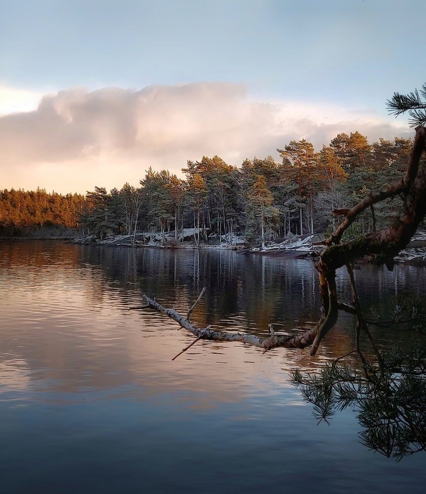 Фотография автора Alina Filimonova