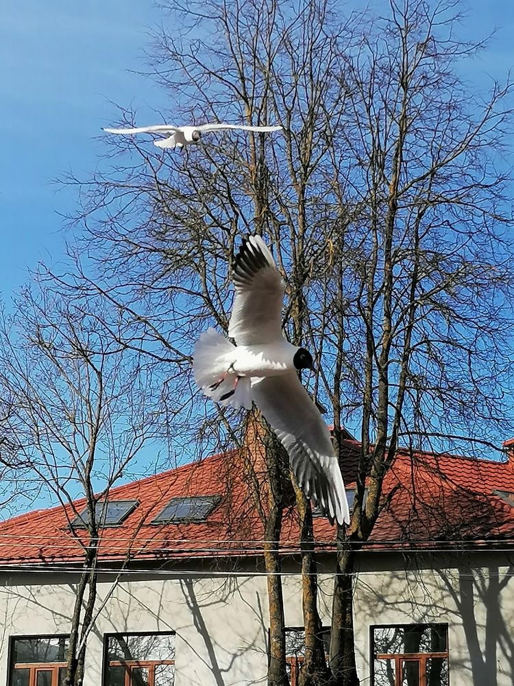 Photograph by Тамара Фельдшерова