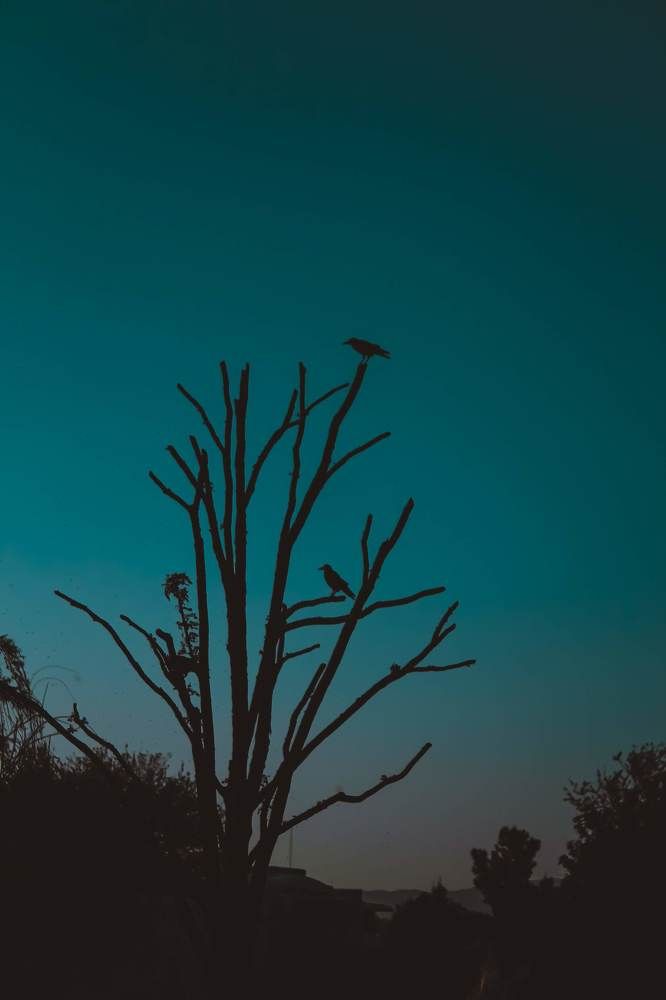 Photograph by talanavard farzad