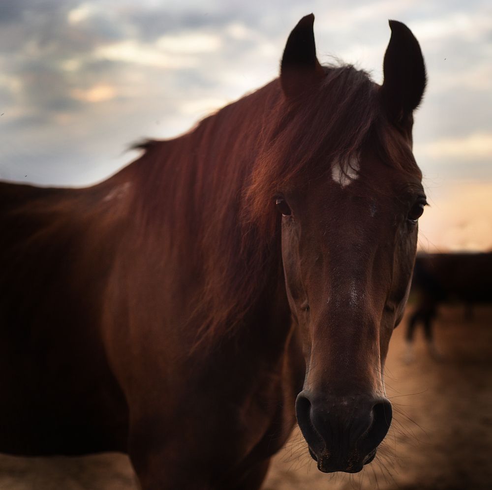 Photograph by Татьяна Кожина