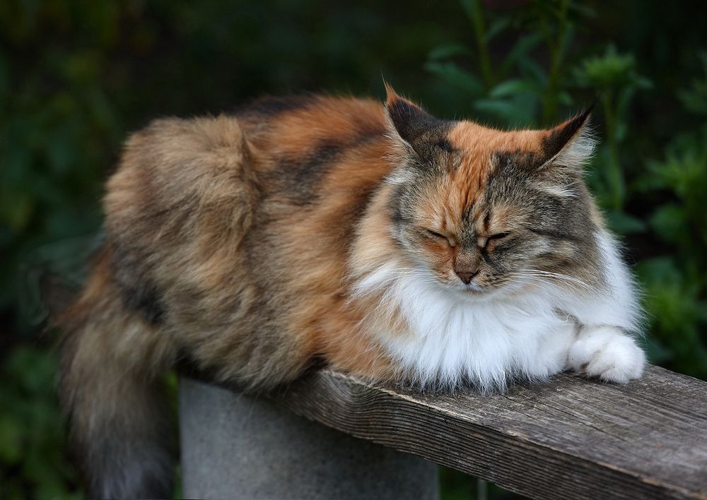 Photograph by Владимир Краснов