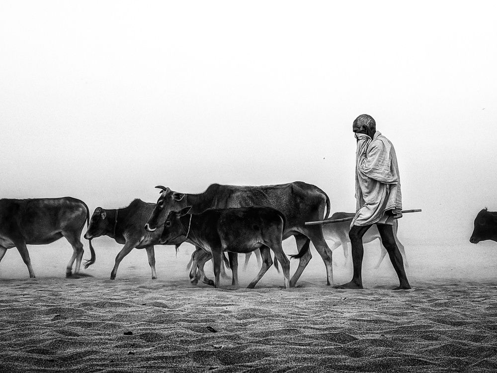 Фотография автора PRADIPTAMOY PAUL