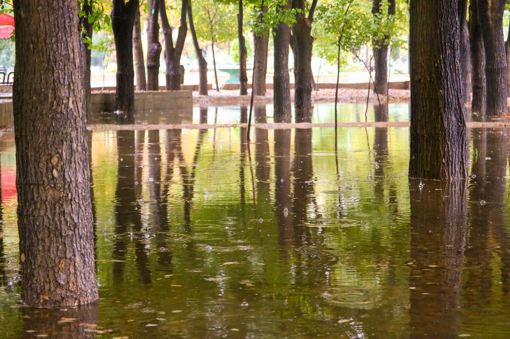 Photograph by Babak Akvan