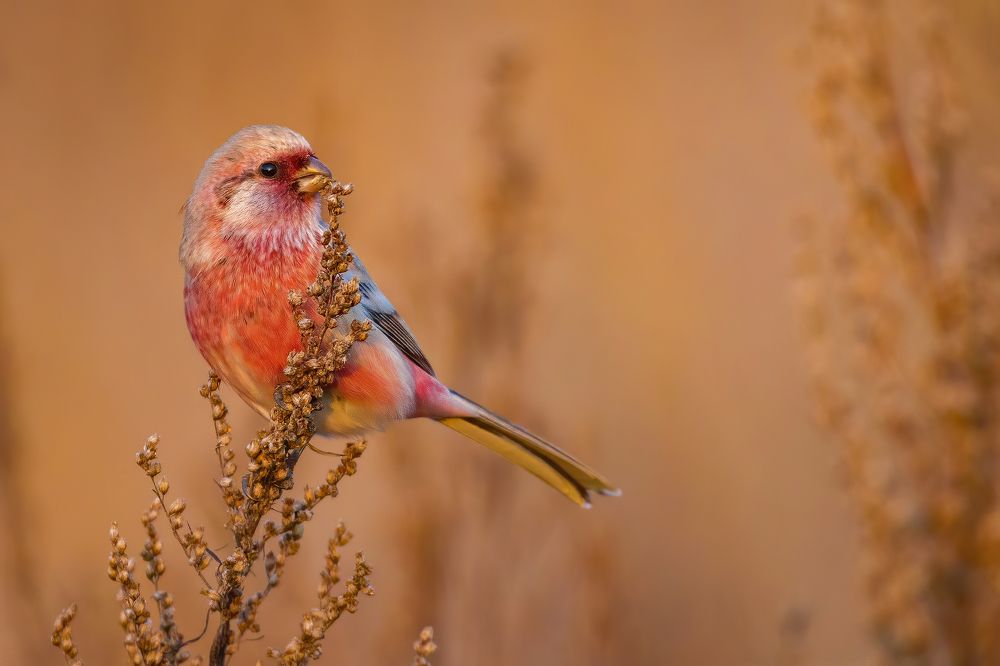 Photograph by Артем