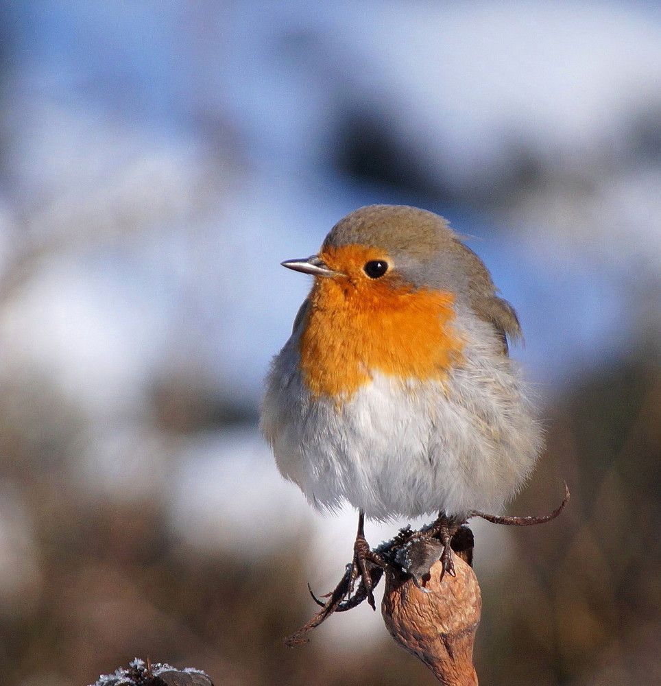Photograph by Наталья Степаненко