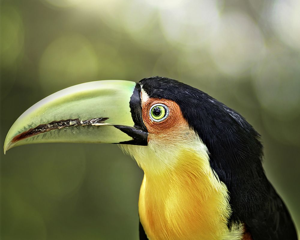 Photograph by Joao R Cortez