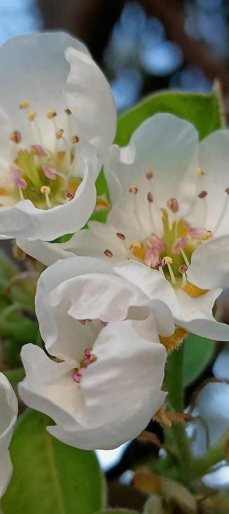 Photograph by Rehana