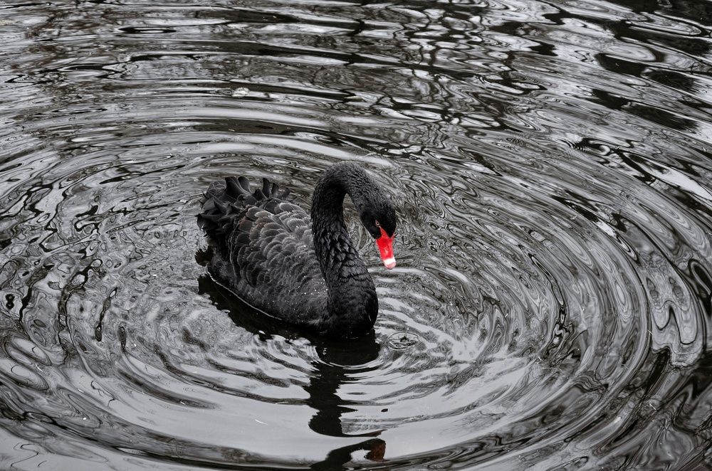 Photograph by Юлия Поликарпова