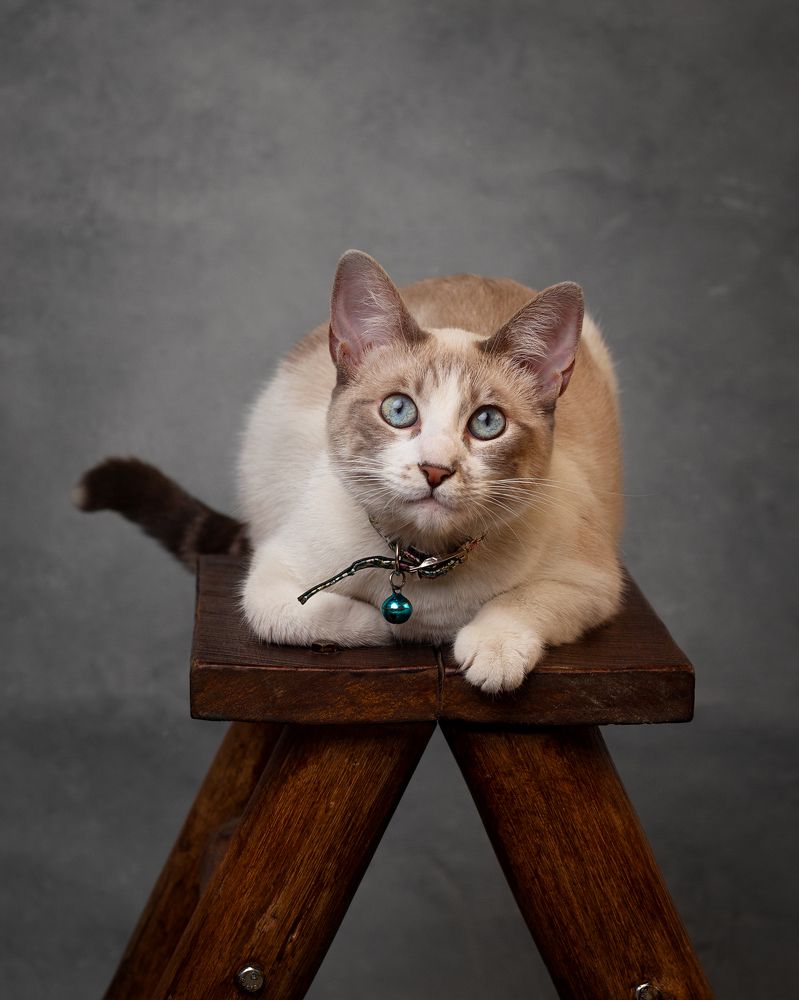 Photograph by Claudia Irene del Pilar Monteza Chávez