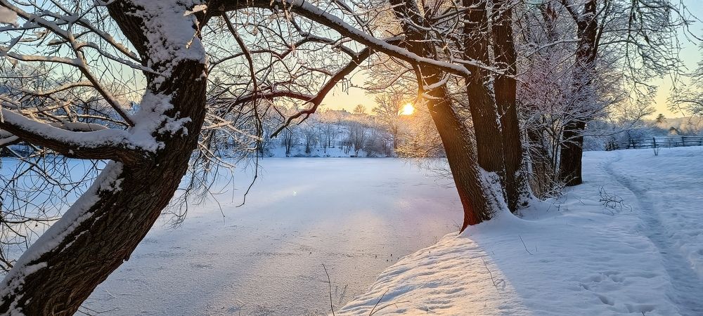 Photograph by Дмитрий Гришин