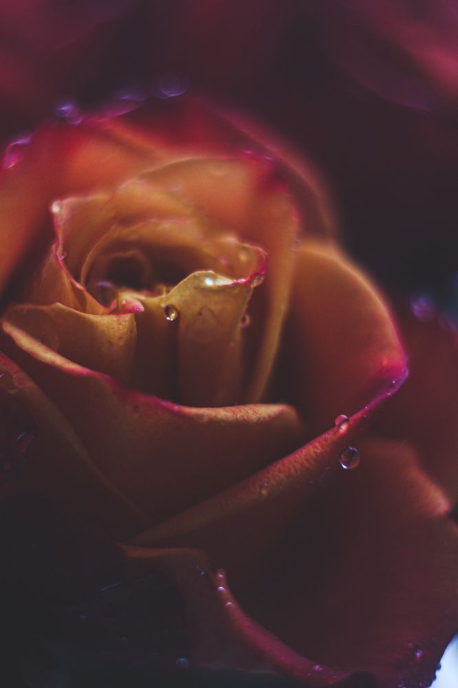 Photograph by Юлия Саморукова