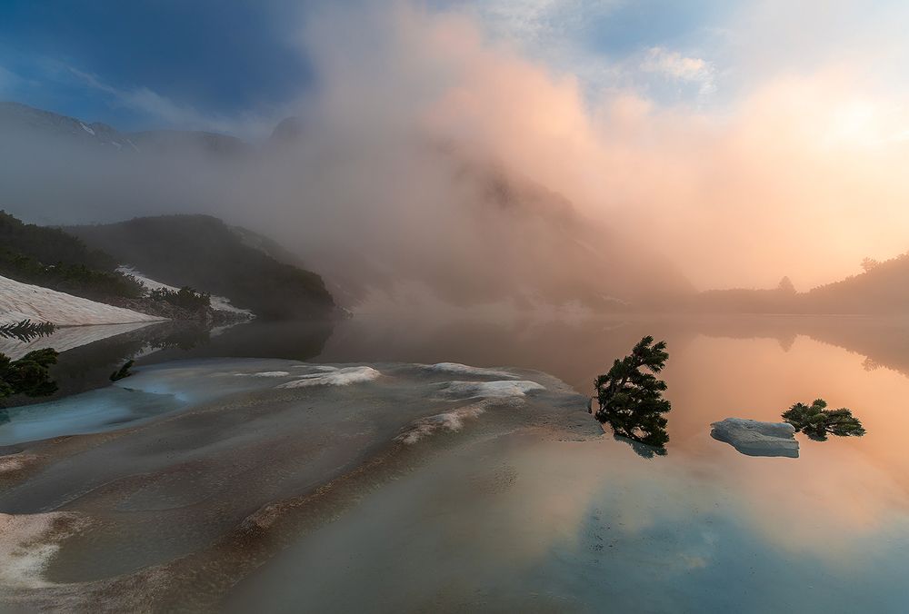 Photograph by Plamen