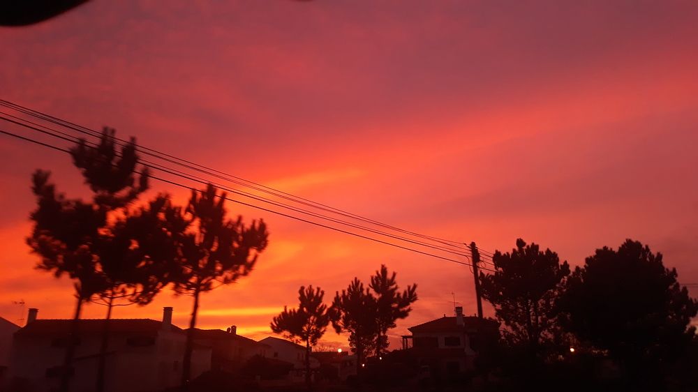 Photograph by Ferreira Francisco