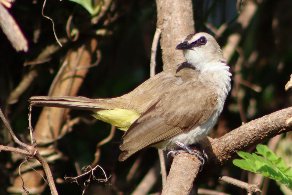 Photograph by Komang Mariono