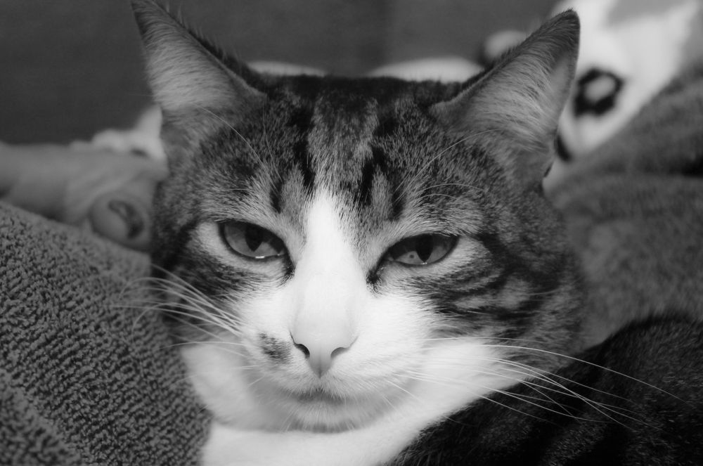 Photograph by Ferreira Francisco