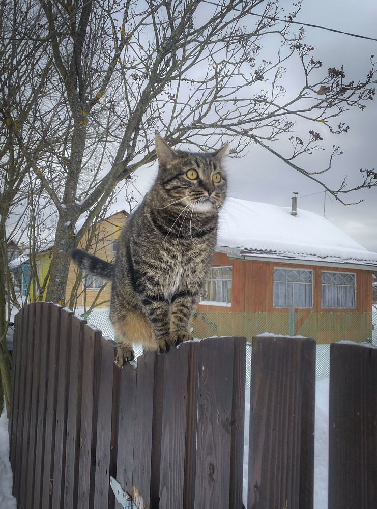 Photograph by Анна Панеева