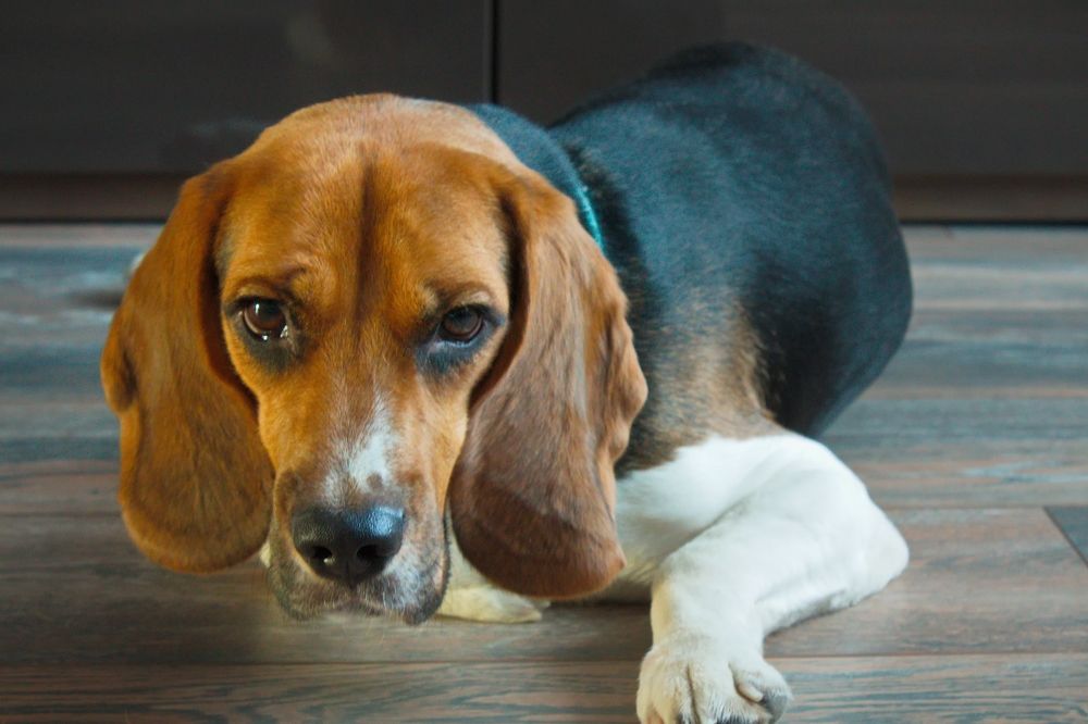 Photograph by ANTON KLYUSHIN