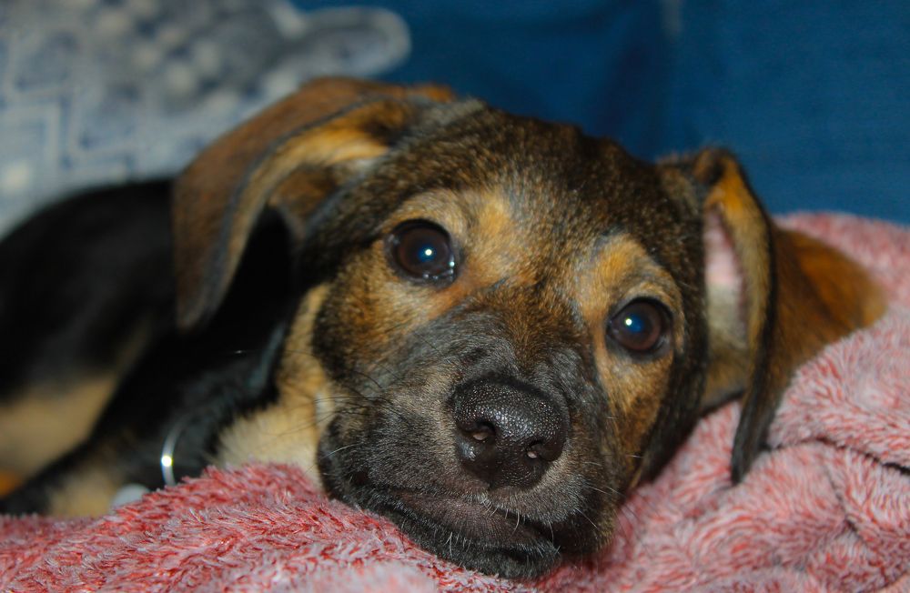 Photograph by Ferreira Francisco