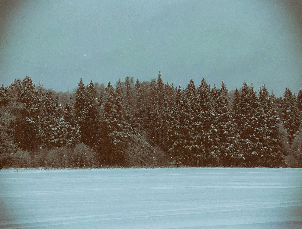 Photograph by Борис Челышев