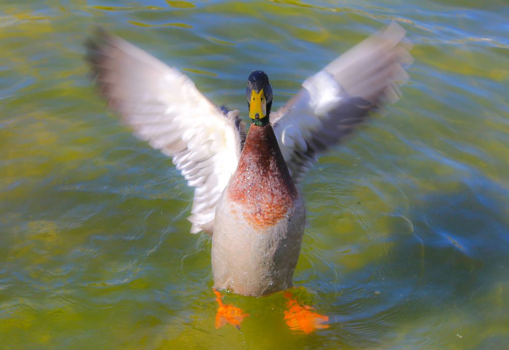 Photograph by Ferreira Francisco