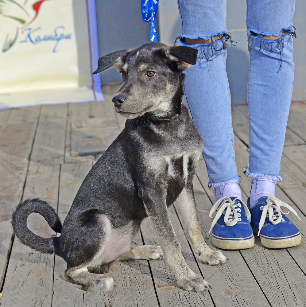 Photograph by БОРИС АНТОНОВ