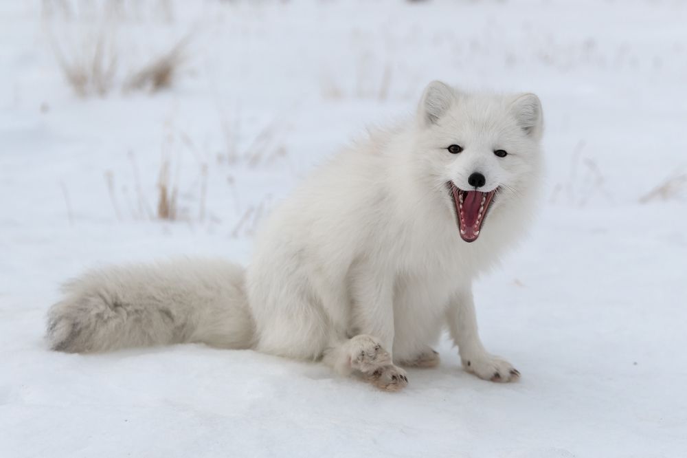 Photograph by Городничев Сергей