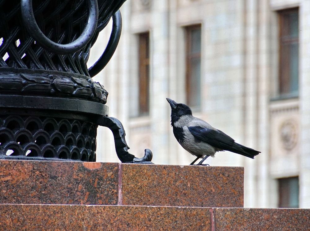 Photograph by Евгений Жиляев