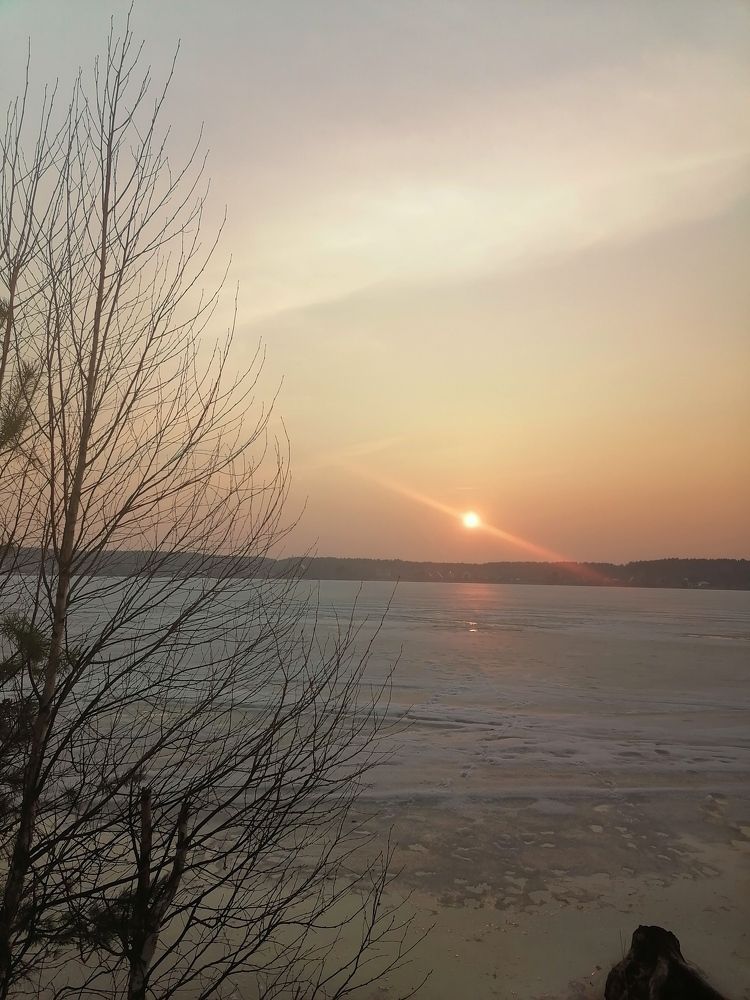На озере Мальцево.Весенний вечер