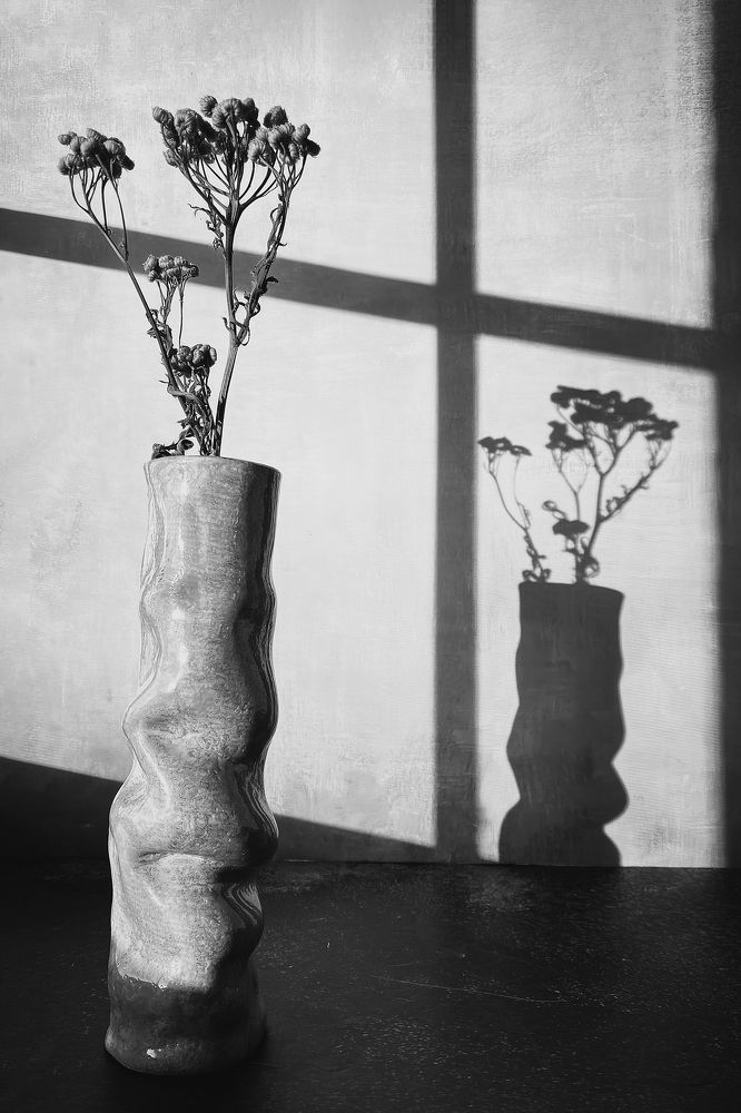 Photograph by Anna Sindikayeva