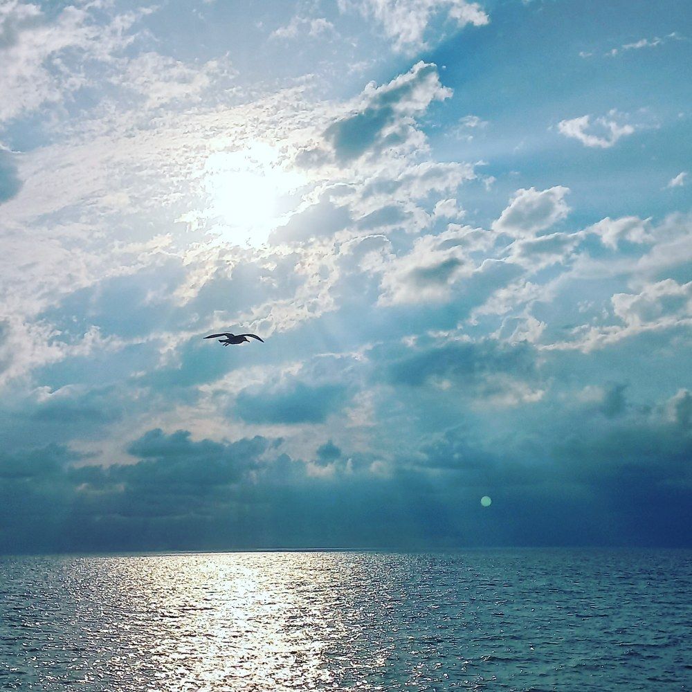 Фотография автора Татьяна Нарайкина