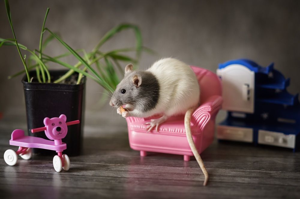 Photograph by Ольга Рачилова