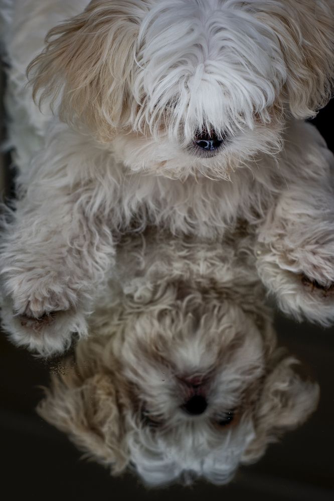 Photograph by Viktoria Alaküla