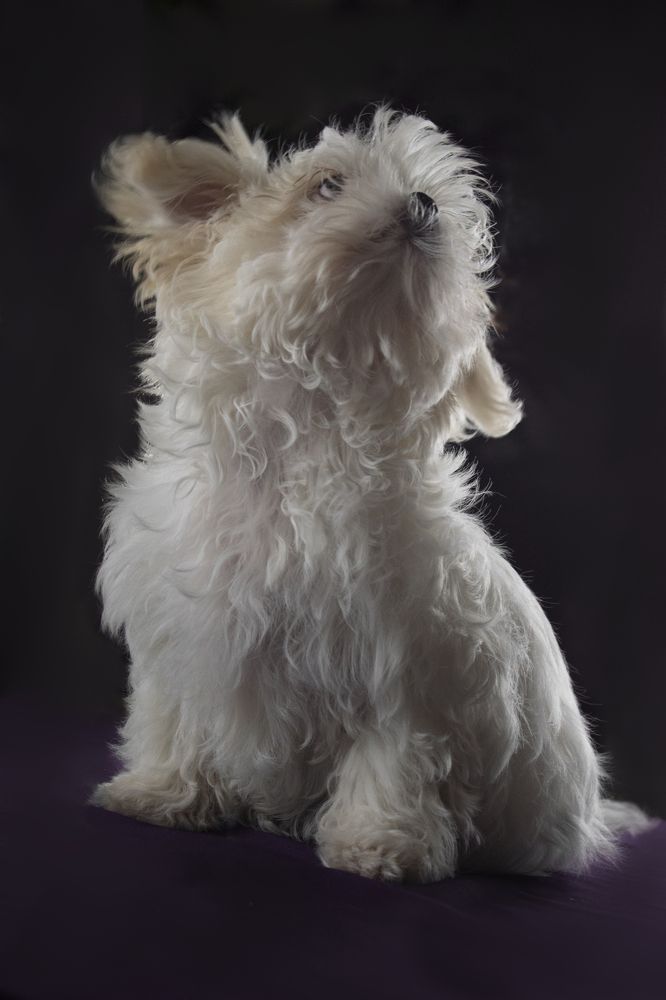 Photograph by Viktoria Alaküla