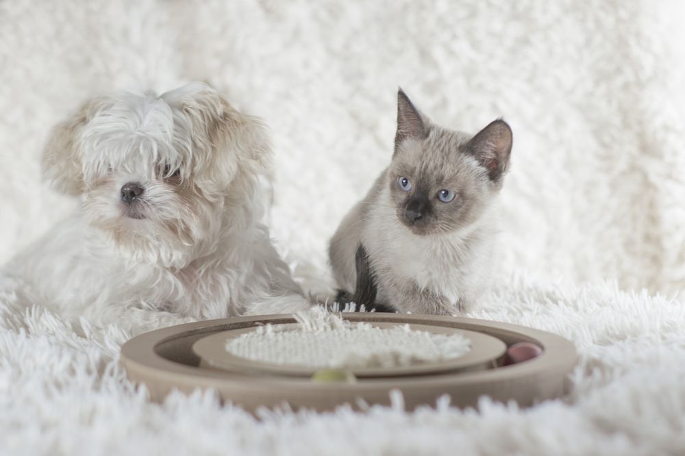 Photograph by Viktoria Alaküla